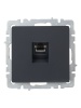 Розетка компьютерная СП RJ45 кат.5E BRITE РК10-БрГ механизм графит IEK BR-K10-1-K53