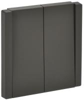 Выключатель 2-кл. СП FORTE&PIANO 10А FP305 сер. IEK FP-V20-0-10-1-K03