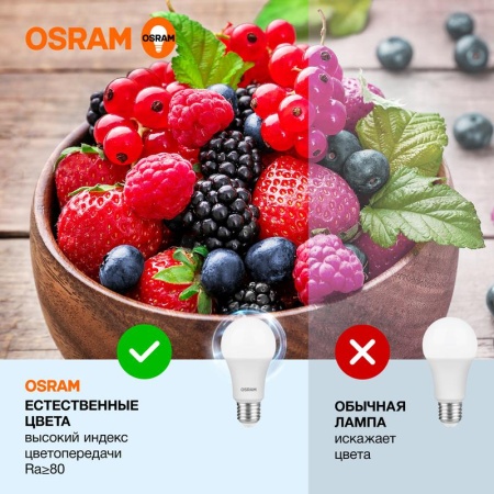 Лампа светодиодная LED Value LVCLA75 10SW/865 10Вт грушевидная матовая E27 230В 10х1 RU OSRAM 4058075578913