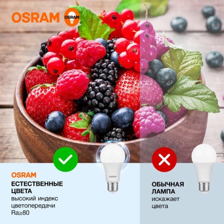 Лампа светодиодная LED Value LVCLA125 15SW/865 15Вт грушевидная матовая E27 230В 10х1 RU OSRAM 4058075579217