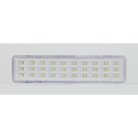 Светильник светодиодный DBA-101-0-20 30LED 5ч IP20 аварийный непостоянный Эра Б0044394