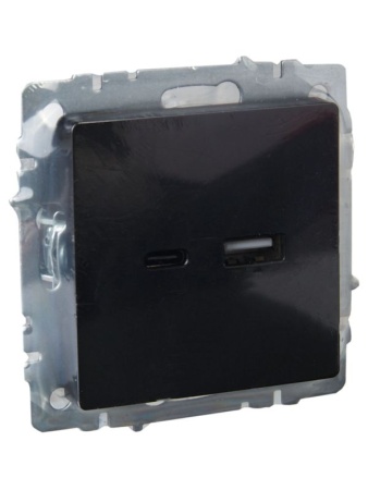 Розетка BRITE USB A+C 18Вт РЮ11-1-БрЧ механизм черн. IEK BR-U22-018-K02