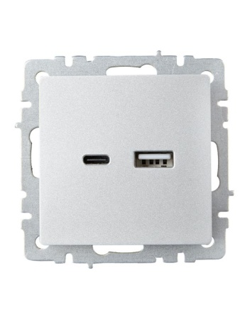 Розетка BRITE USB A+C 18Вт РЮ11-1-БрА механизм алюм. IEK BR-U22-018-K47
