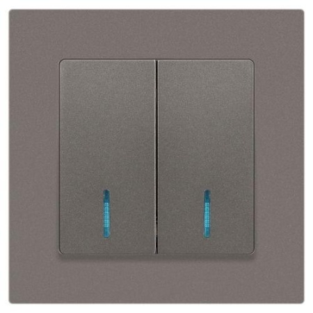 Выключатель 2-кл. СП Accent 6-105-09 10А IP20 250В с подсветкой AL/CU титан Intro Б0063525