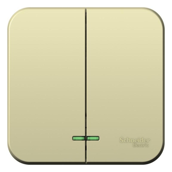 Выключатель 2-кл. ОП Blanca 10А IP20 (сх. 5) 250В с подсветкой с изолир. пластиной беж. SE BLNVA105117